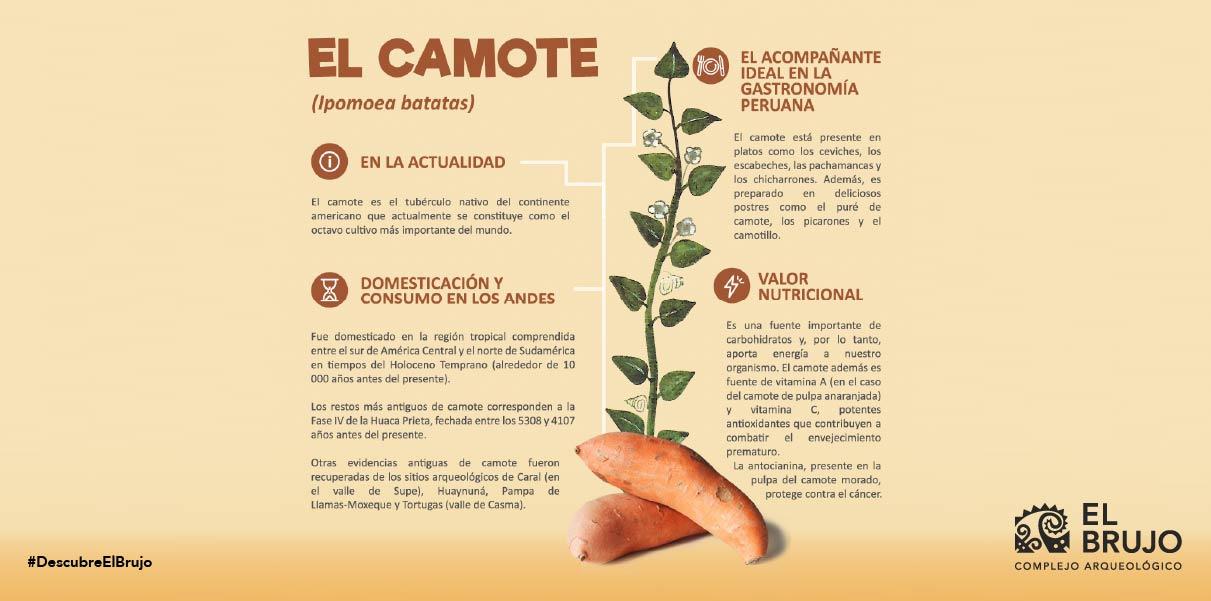 El camote